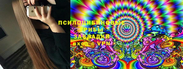 соль ск Осташков