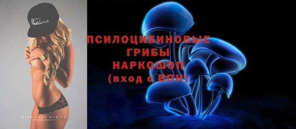 прущие грибы Нягань